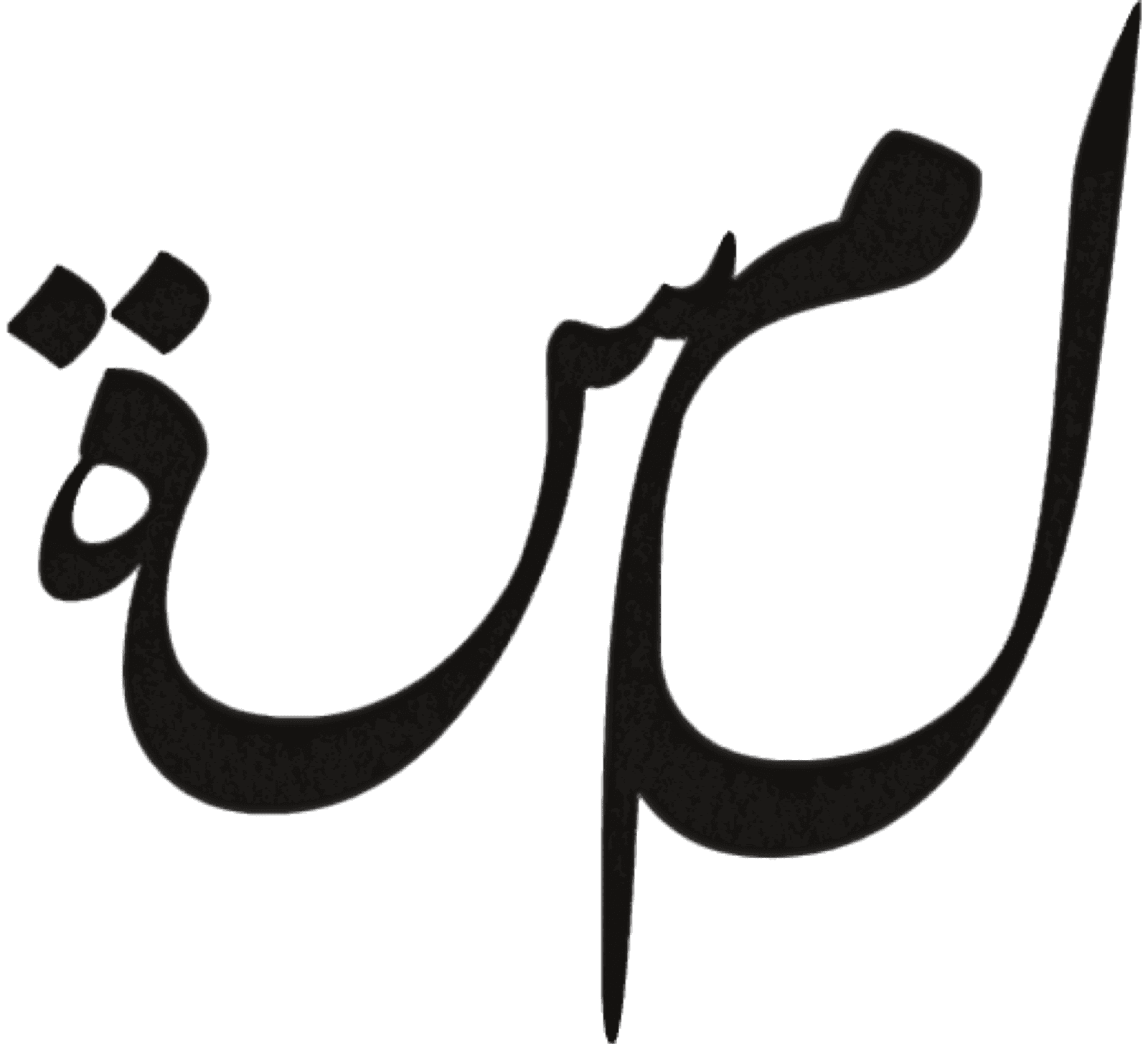 LAMSA